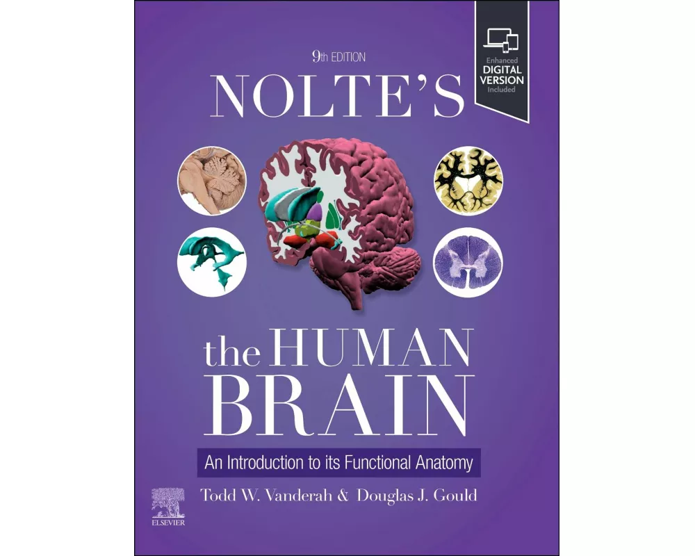 Nolte's The Human Brain