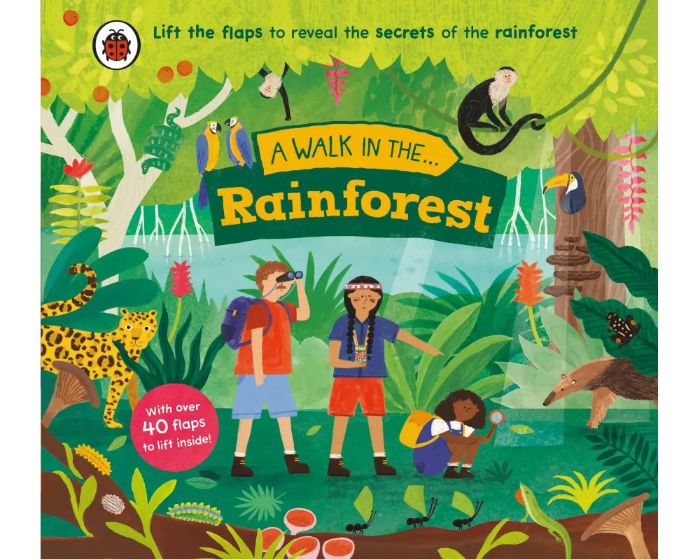 A Walk in the Rainforest