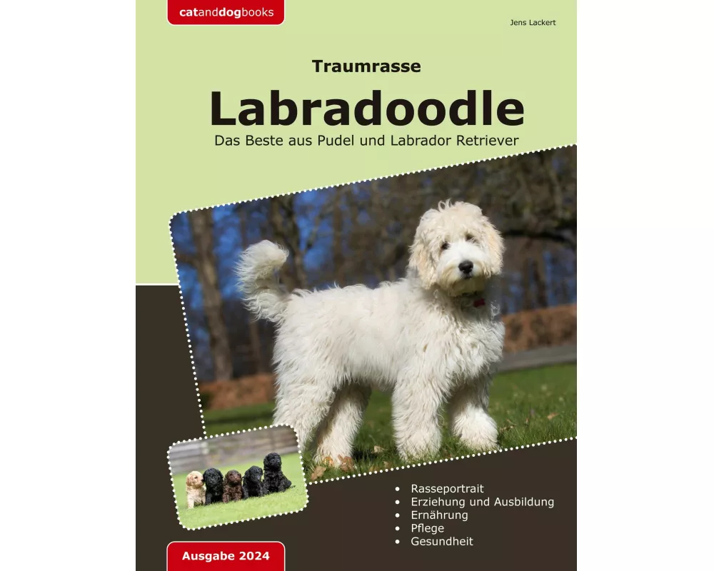 Traumrasse: Labradoodle