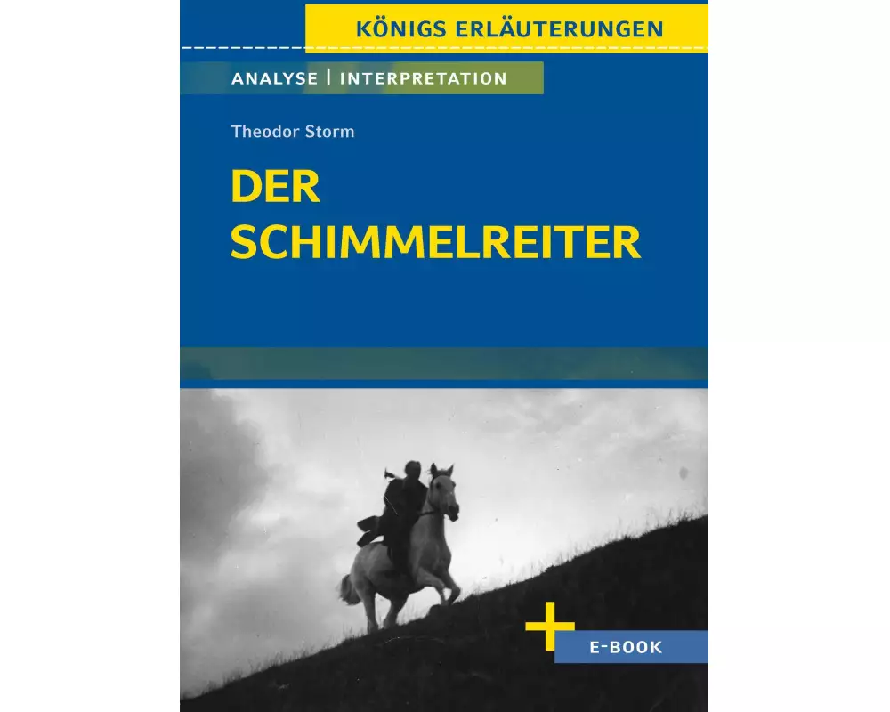 Der Schimmelreiter von Theodor Storm - Textanalyse und Interpretation