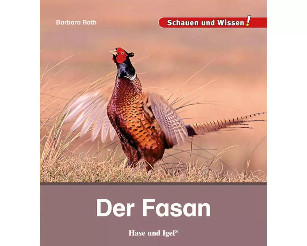 Der Fasan