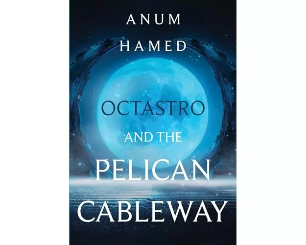 Octastro and the Pelican Cableway