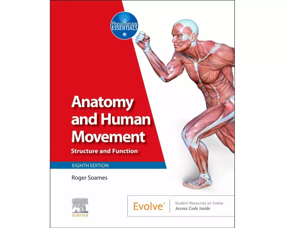 Anatomy and Human Movement