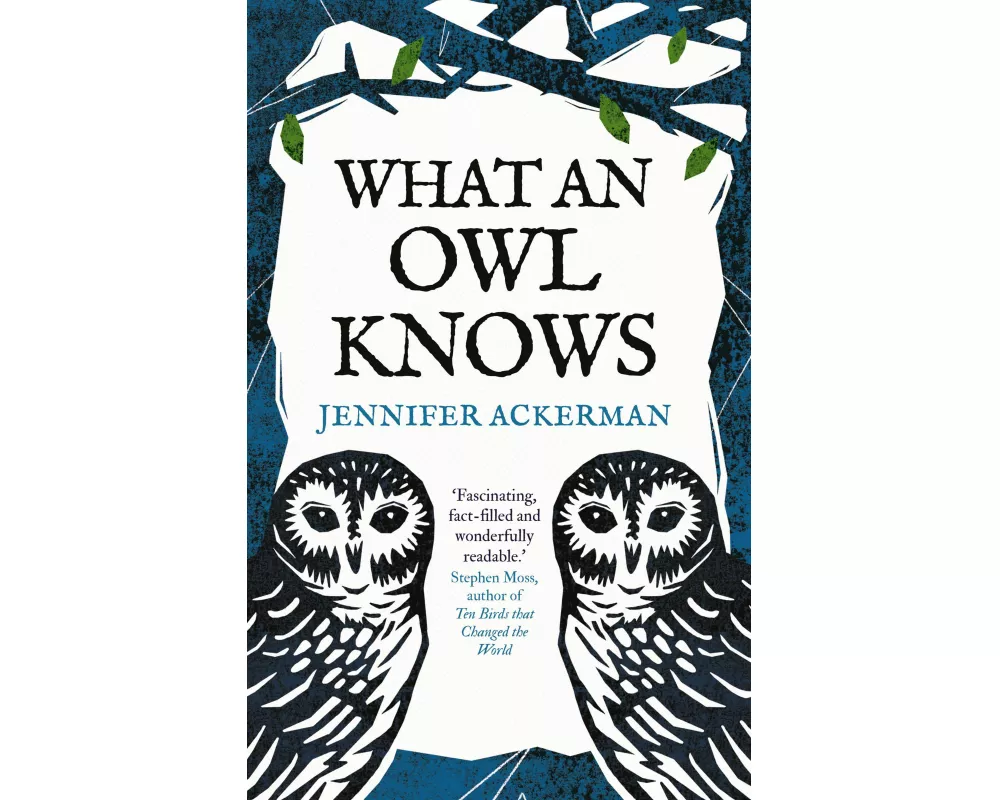 What an Owl Knows