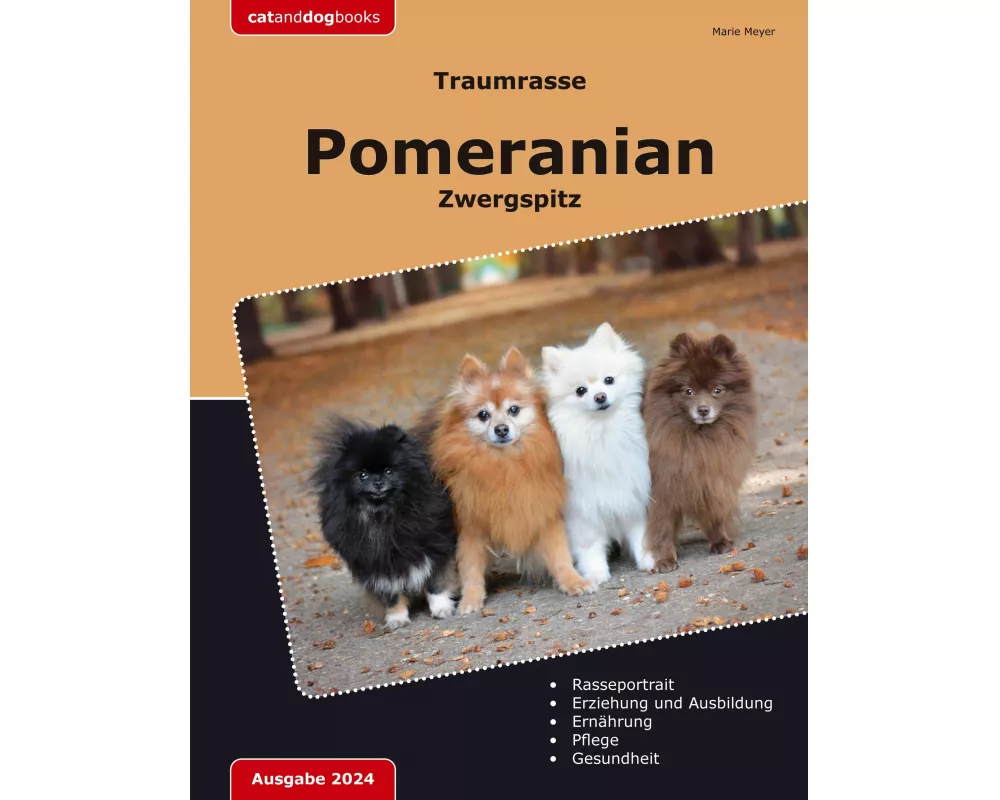 Traumrasse Pomeranian