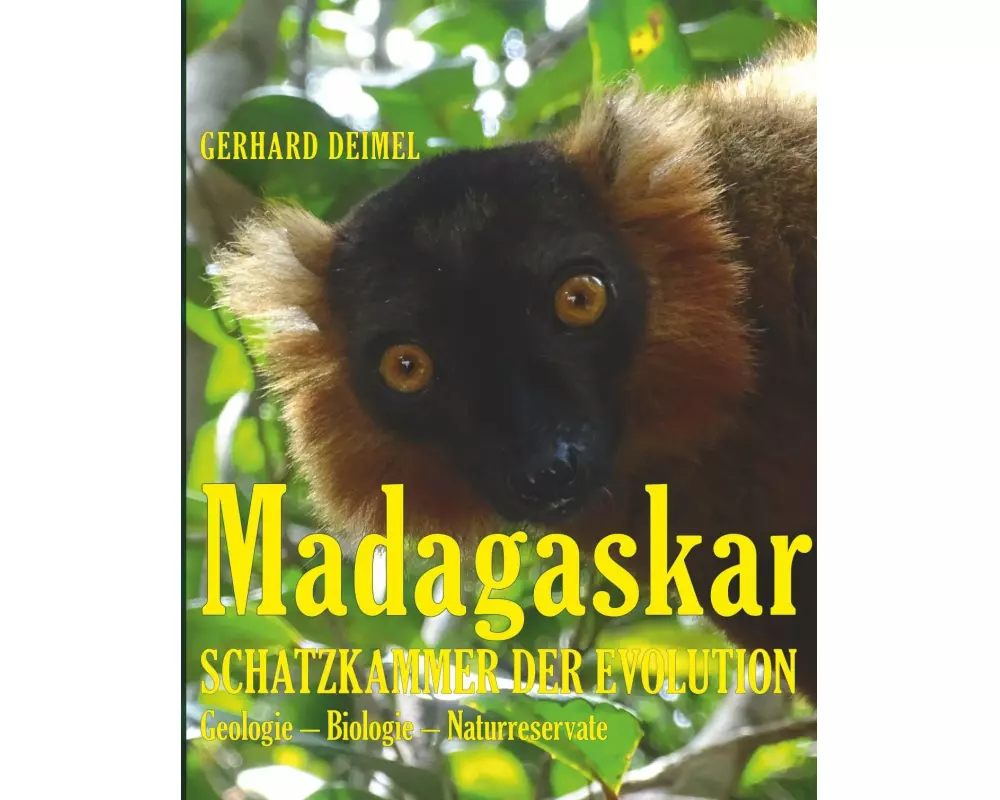 Madagaskar - Schatzkammer Der Evolution