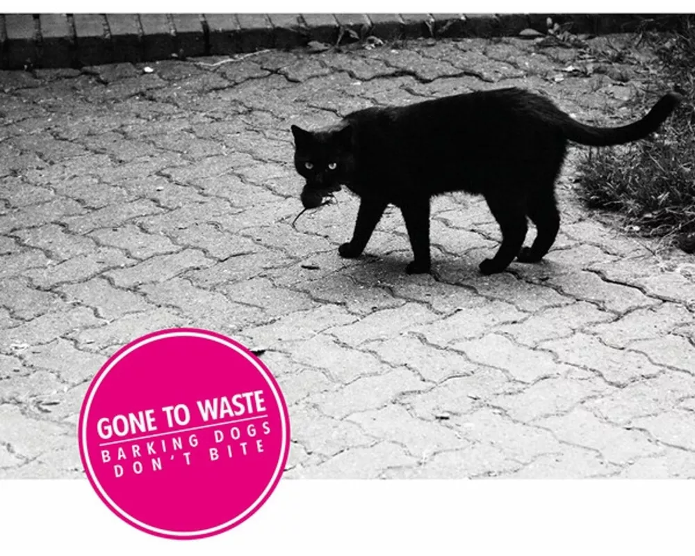 Barking Dogs Don't Bite