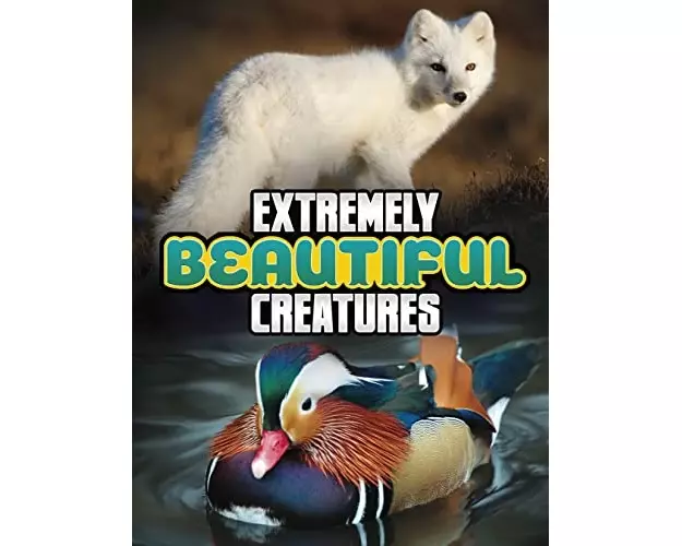 Extremely Beautiful Creatures