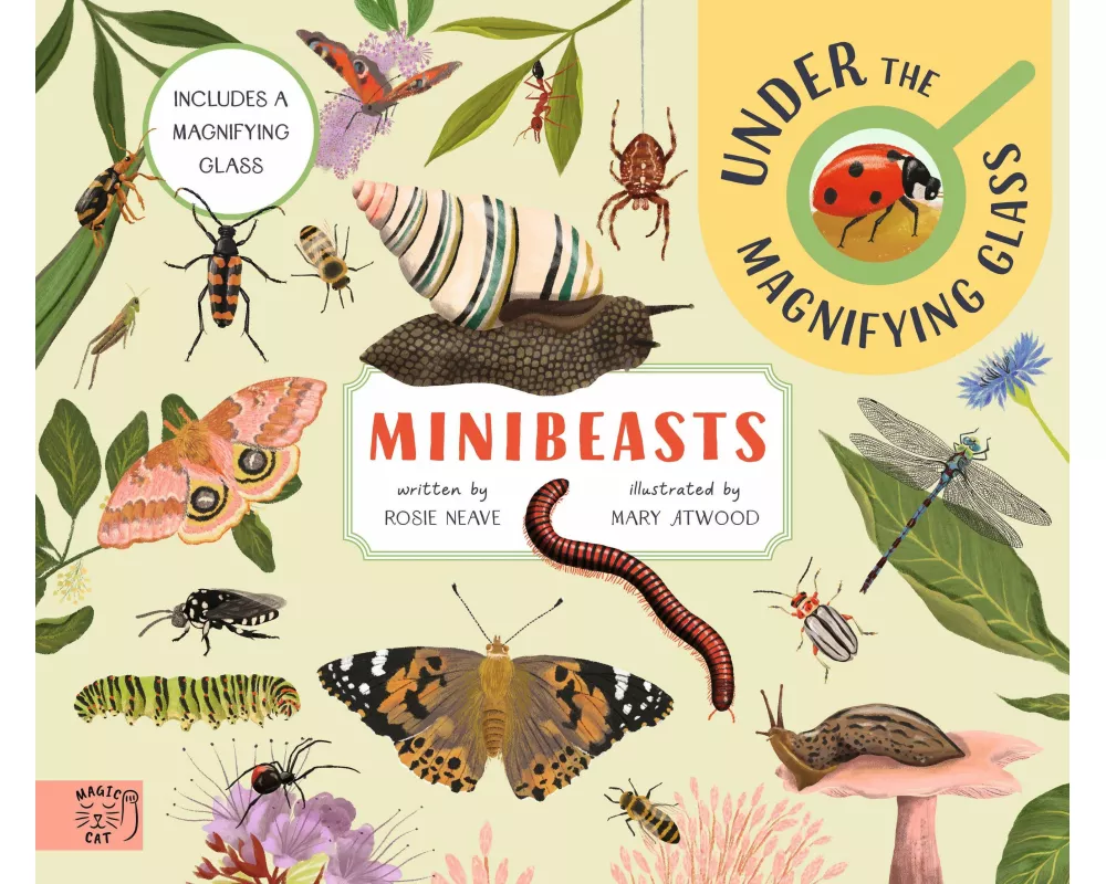 Minibeasts: Under the Magnifying Glass