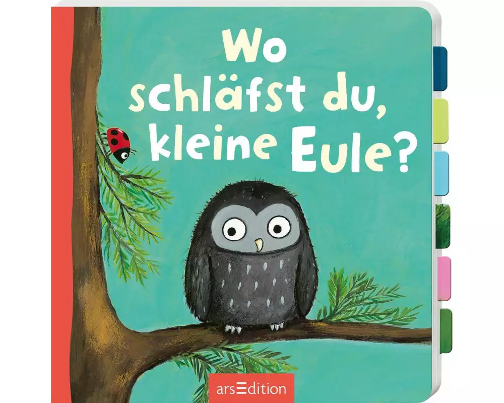 Wo schläfst du, kleine Eule?