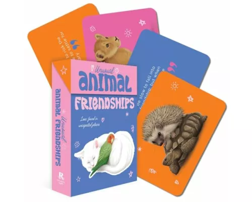 Unusual Animal Friendships