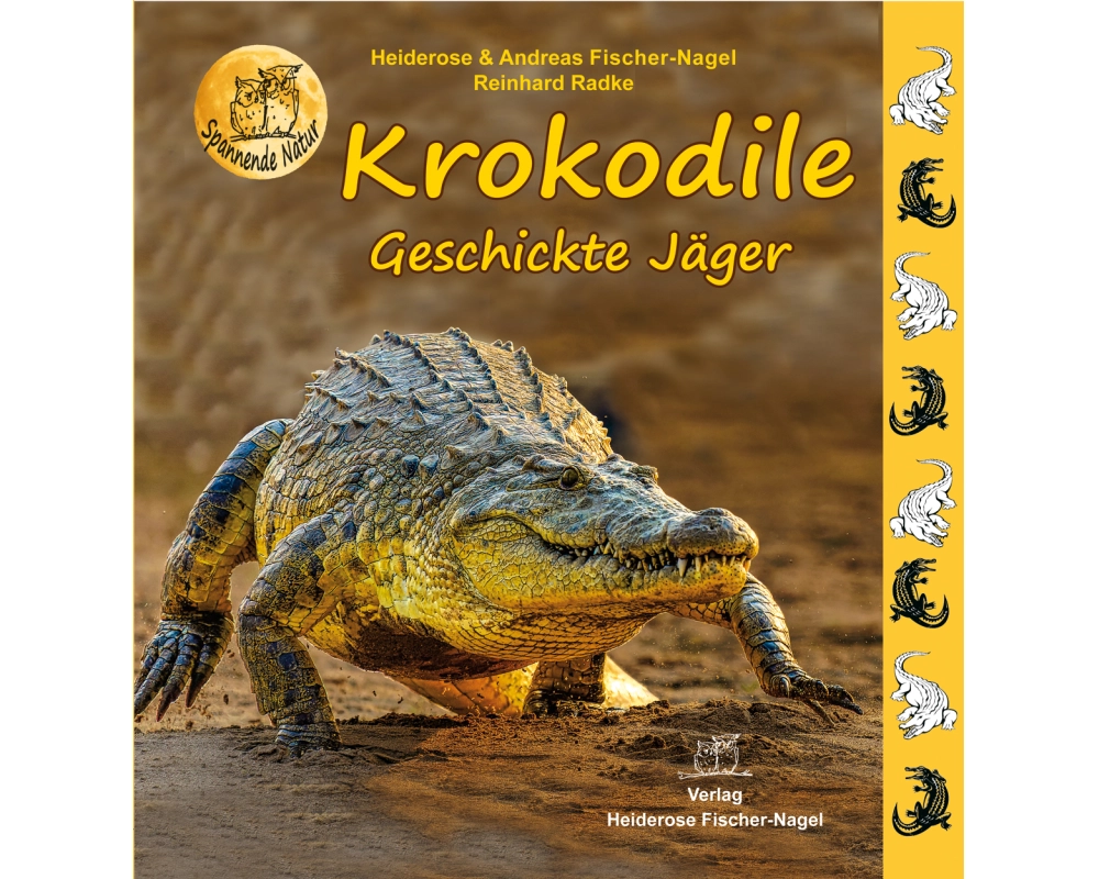 Krokodile