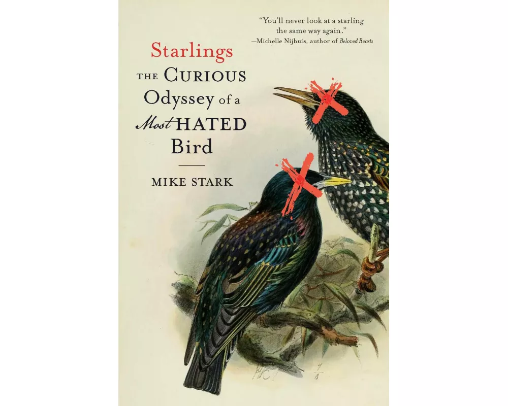 Starlings