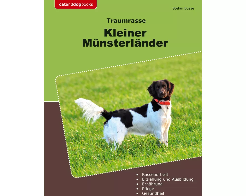 Traumrasse Kleiner Münsterländer