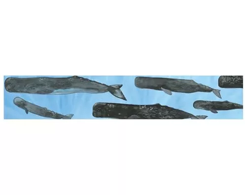 Respect the Invisible Card