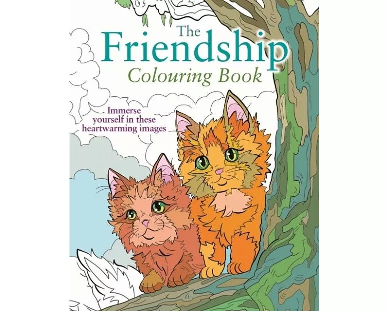 The Friendship Colouring Book