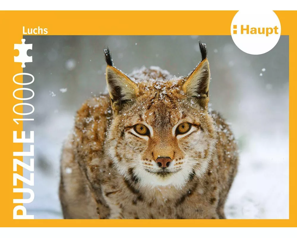 Luchs – Puzzle