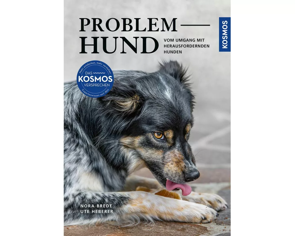 Problem Hund