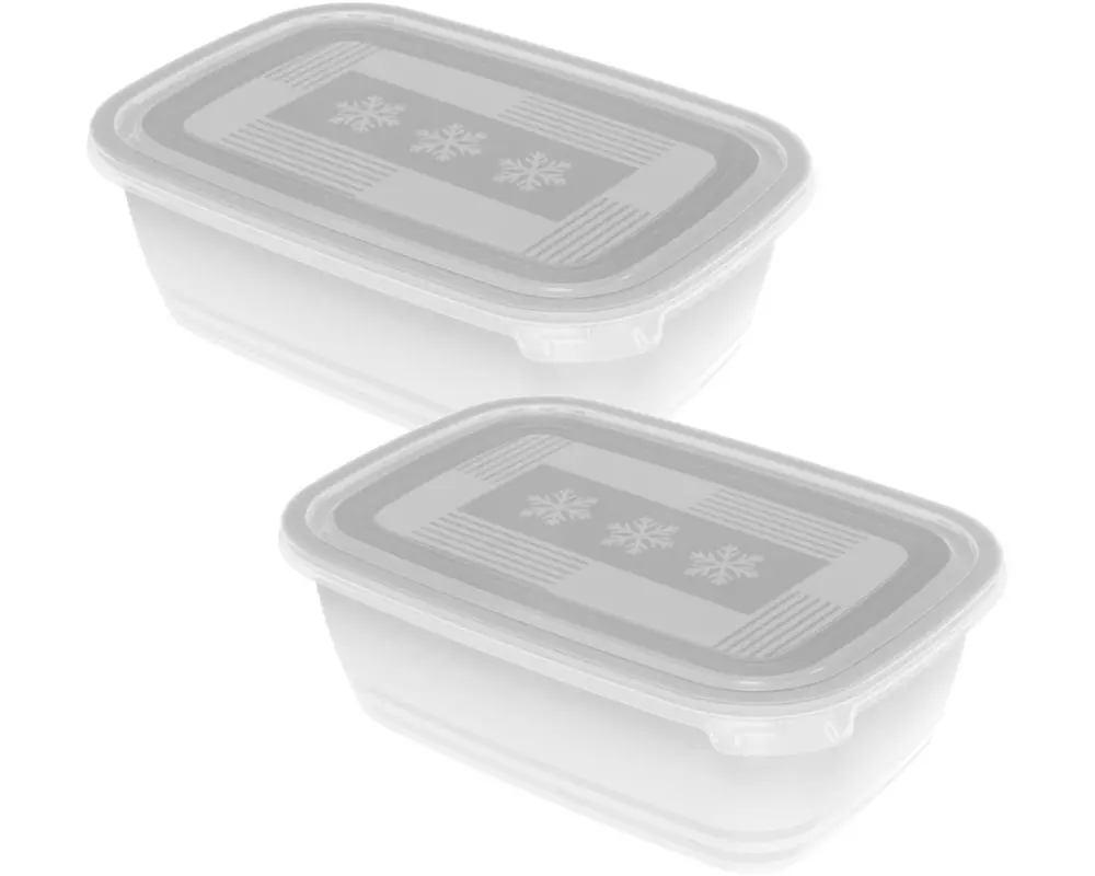 Rotho Vorratsbehälter Freeze 2 Stück, 1.9 l, Transparent