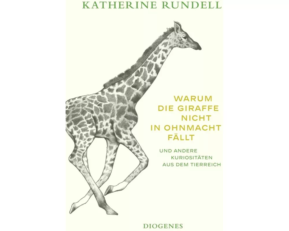Warum die Giraffe nicht in Ohnmacht fällt
