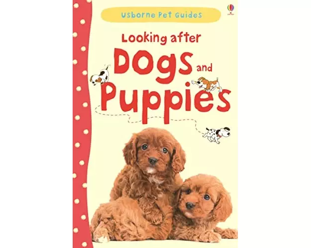 Looking After Dogs and Puppies