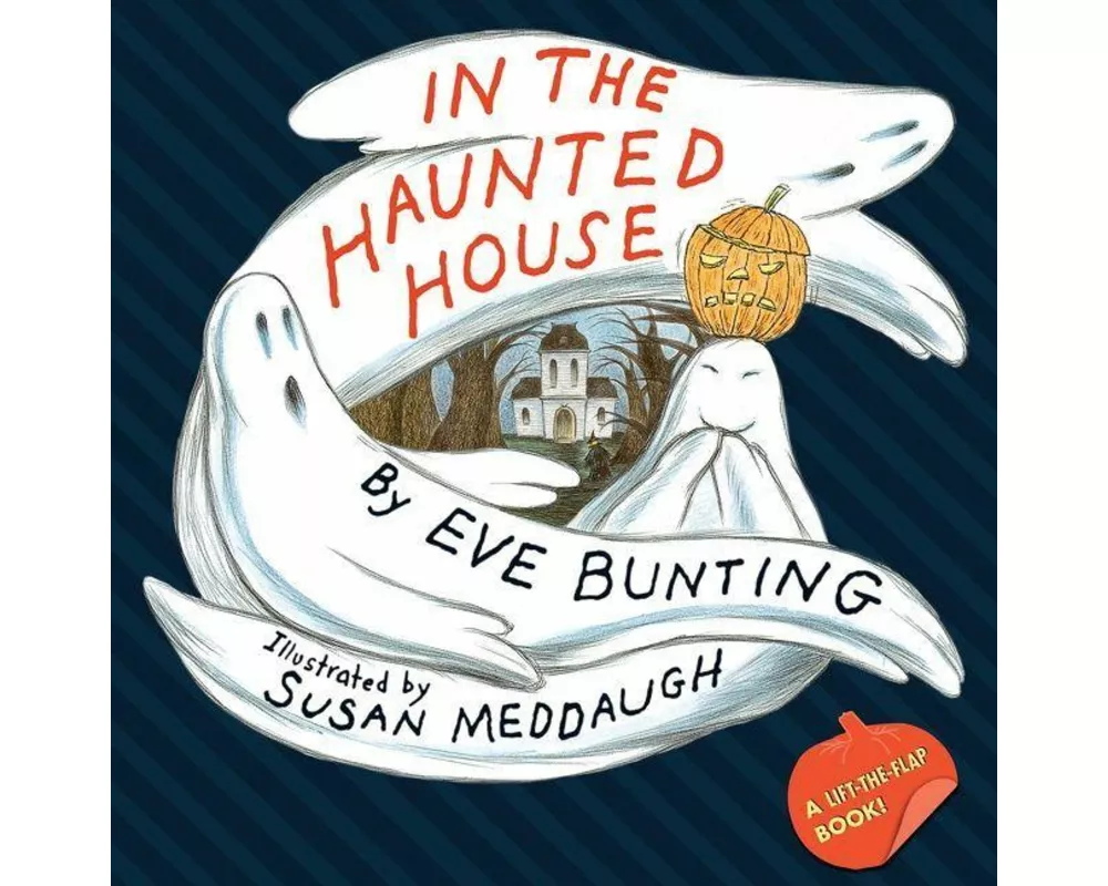 In the Haunted House Touch & Feel Lift-the-Flap Book