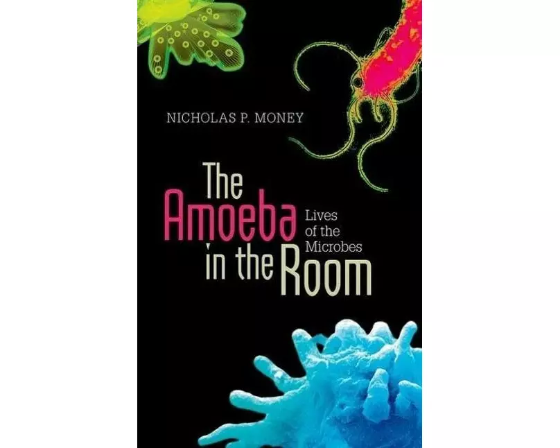 The Amoeba in the Room