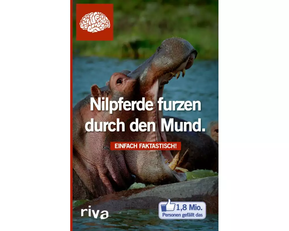 Nilpferde furzen durch den Mund