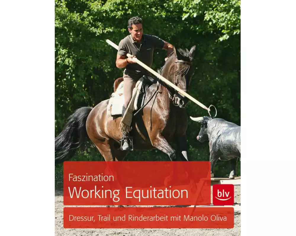Faszination Working Equitation