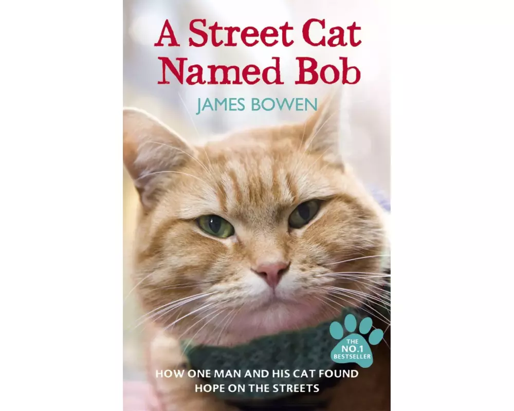 A Street Cat Named Bob