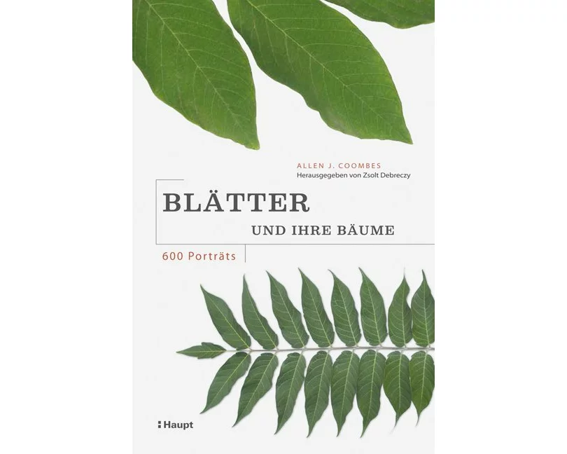 Blätter und ihre Bäume