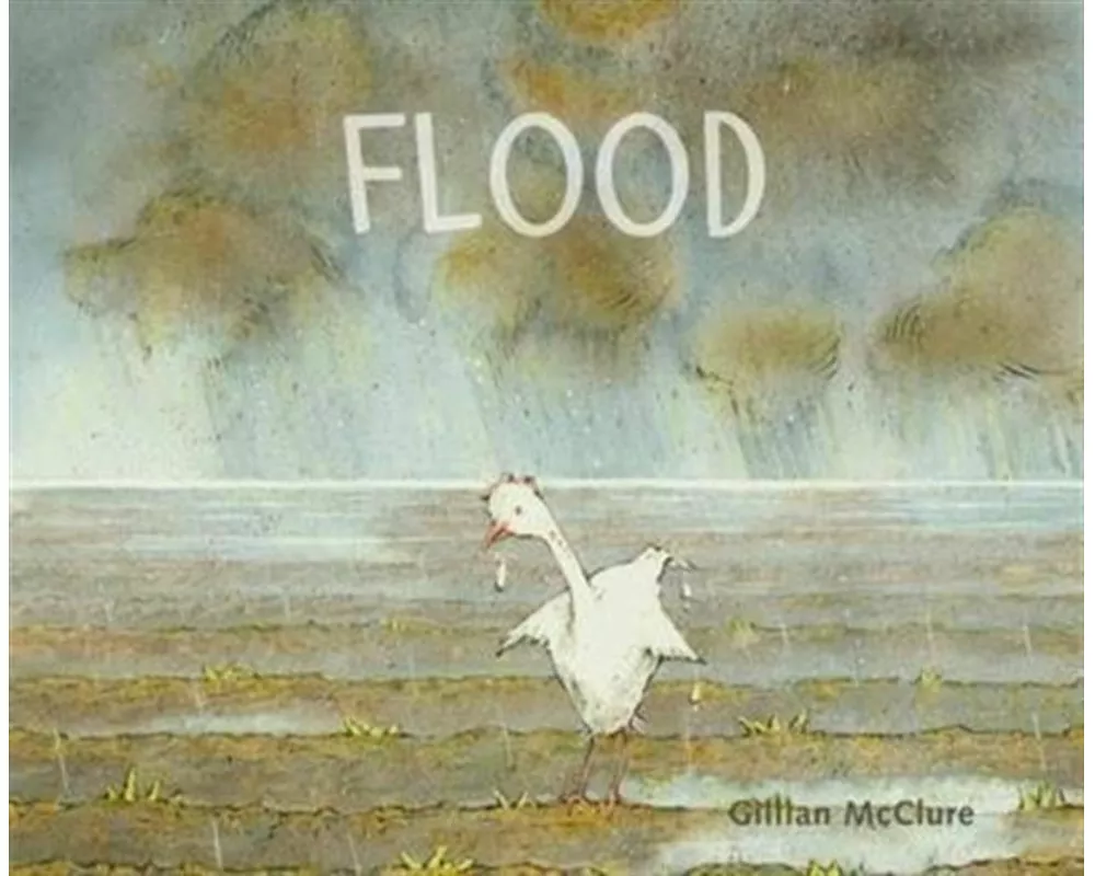 Flood