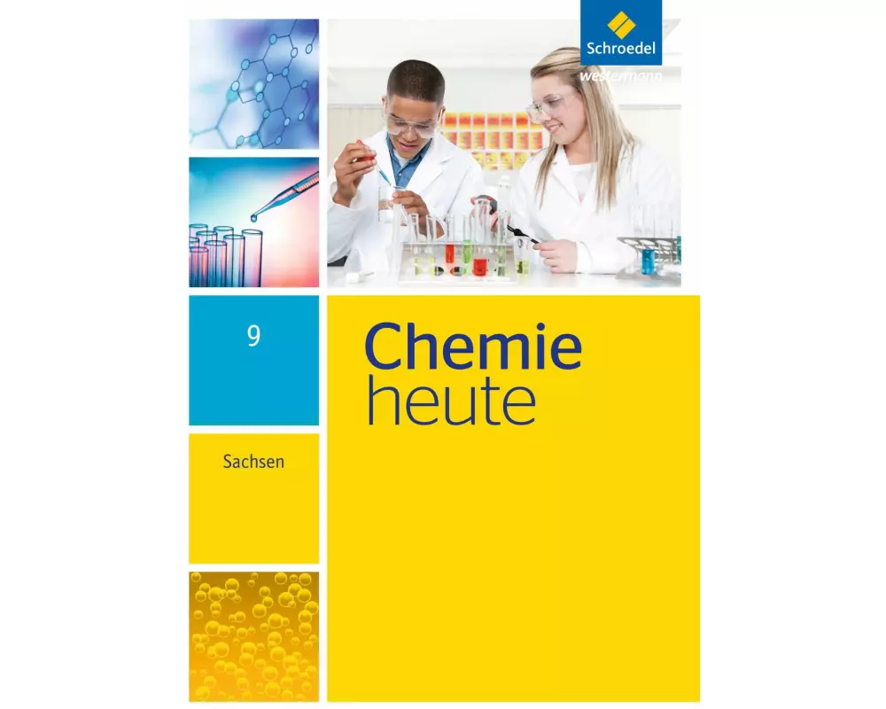 Chemie heute SI - Ausgabe 2013 für Sachsen