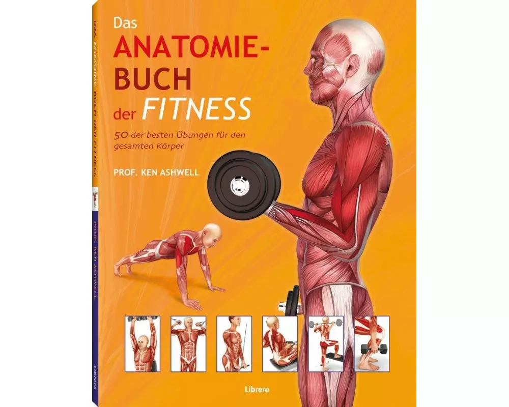 Das Anatomie-Buch der Fitness