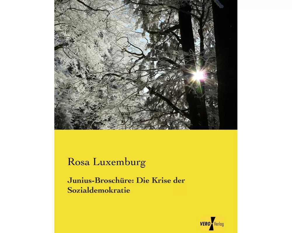 Junius-Broschüre: Die Krise der Sozialdemokratie
