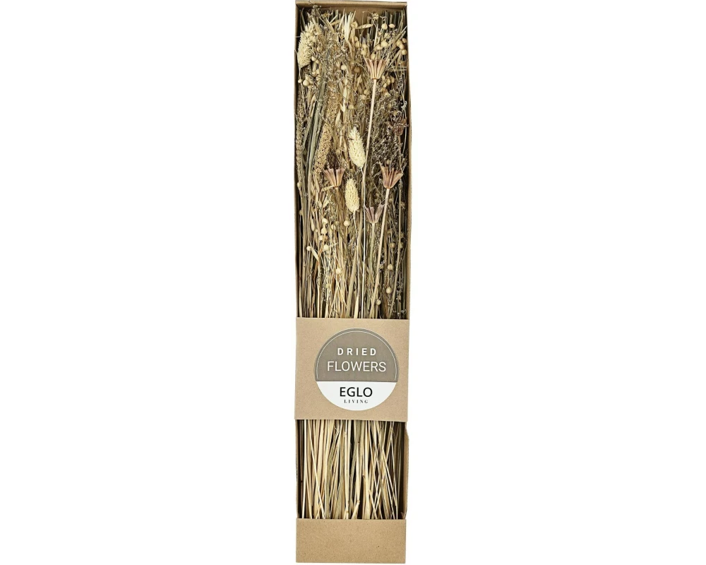 EGLO Trockenblumen und Gräser Braun Beige 60 cm