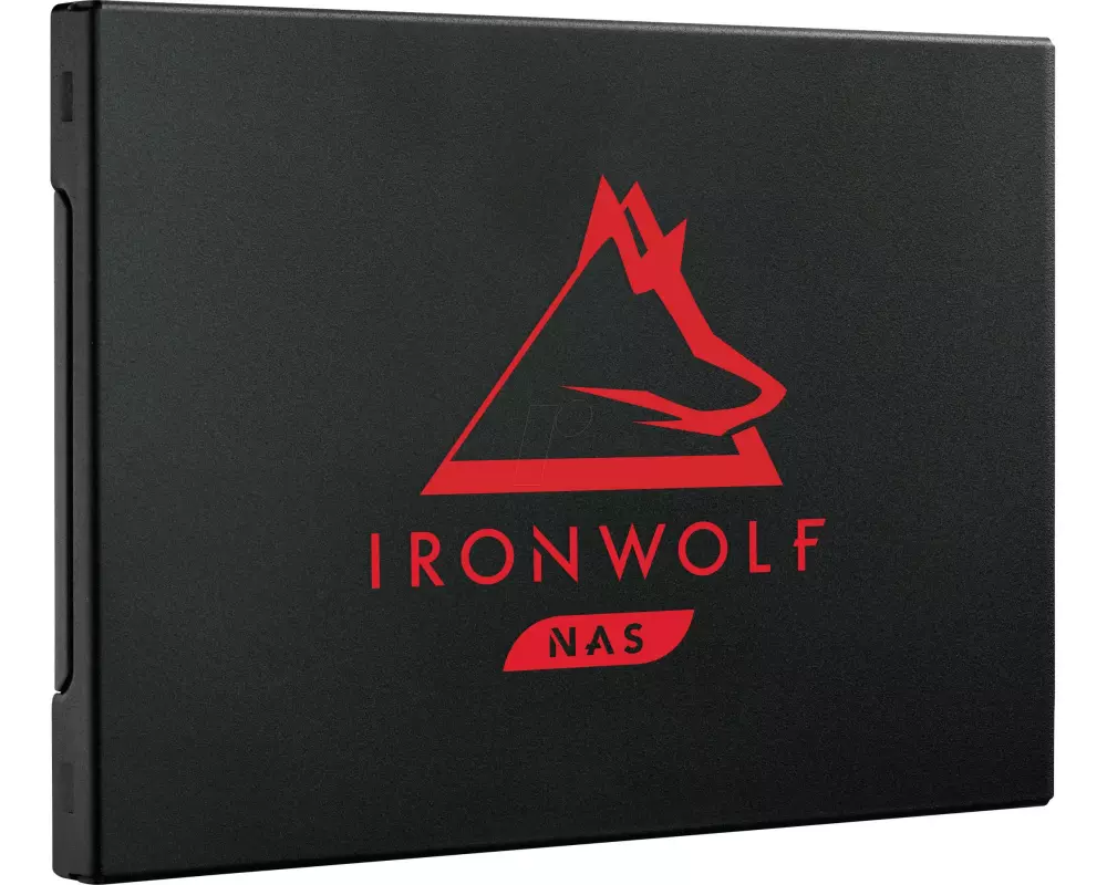 IronWolf 125 SSD 250GB