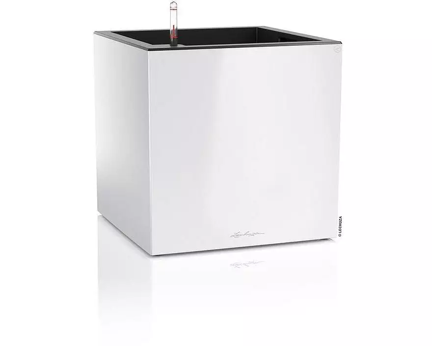 Lechuza CANTO Premium 40 low Hellgrau