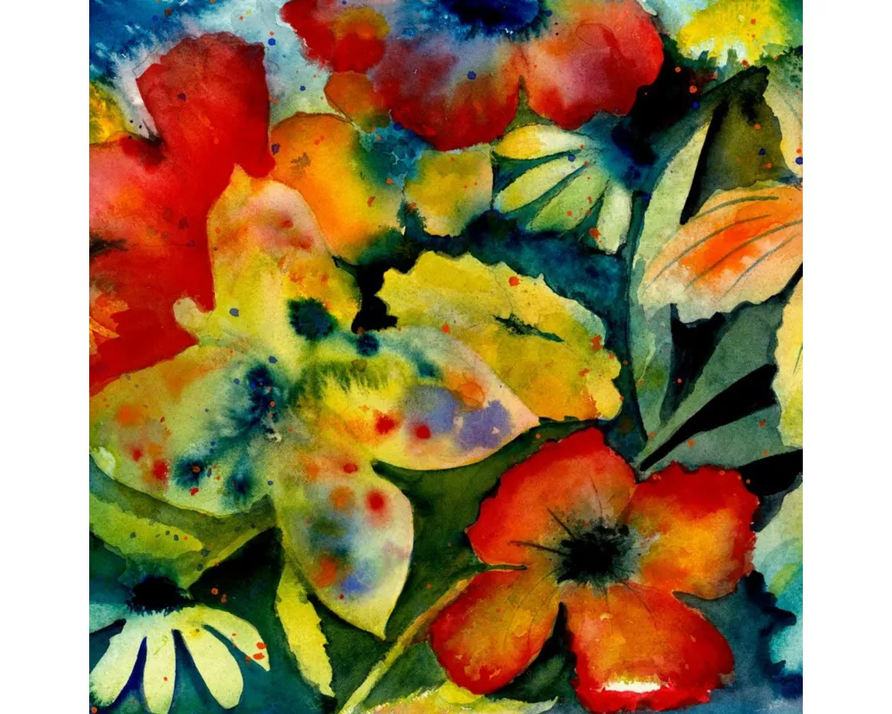 Songs & Instrumentals