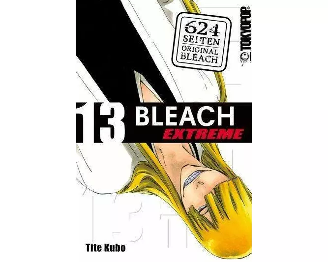 Bleach EXTREME 13
