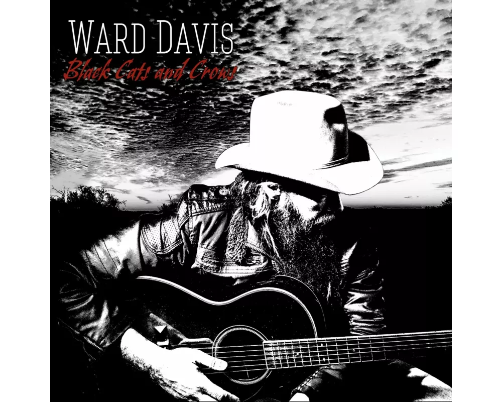 Black Cats And Crows