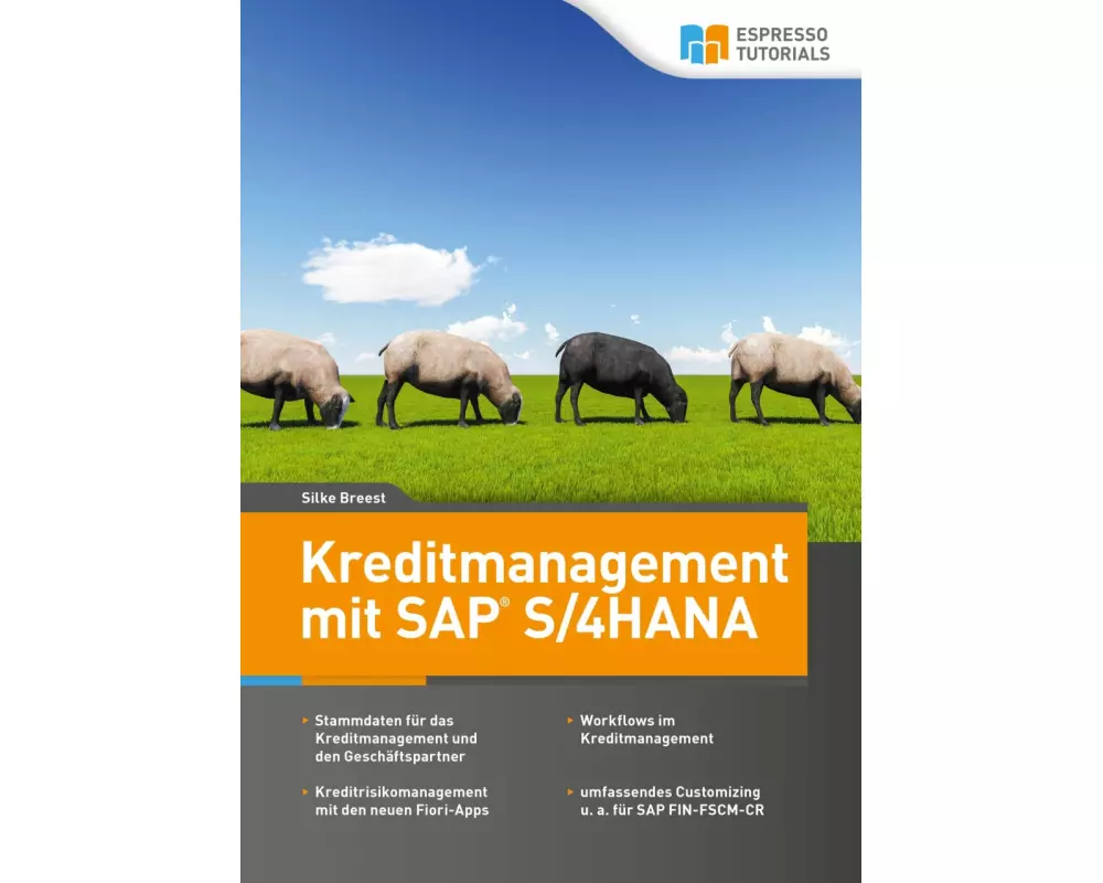 Kreditmanagement mit SAP S/4HANA