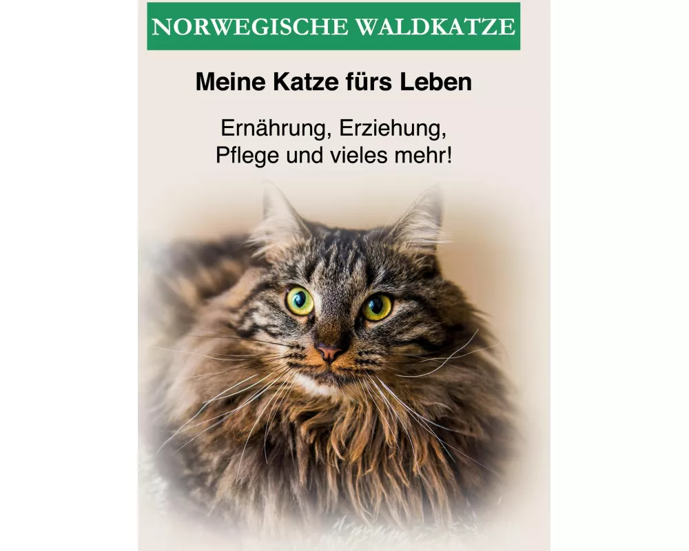 Norwegische Waldkatze