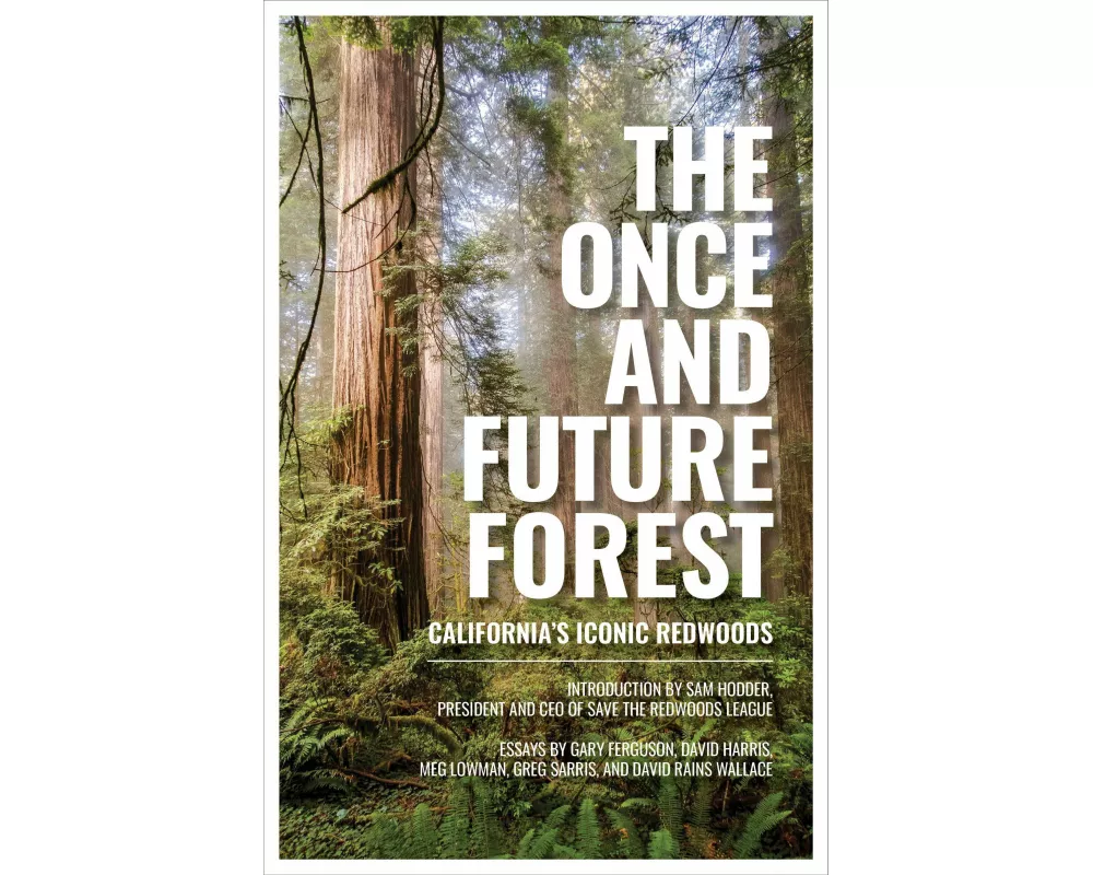 The Once and Future Forest
