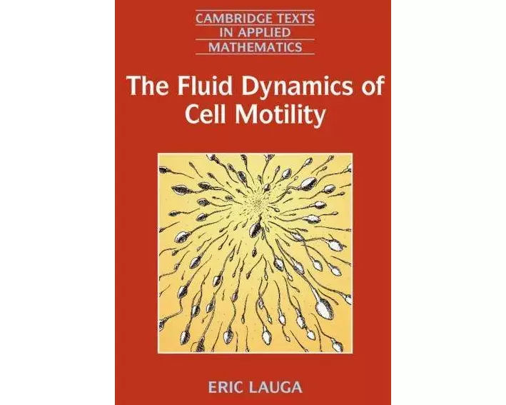 The Fluid Dynamics of Cell Motility