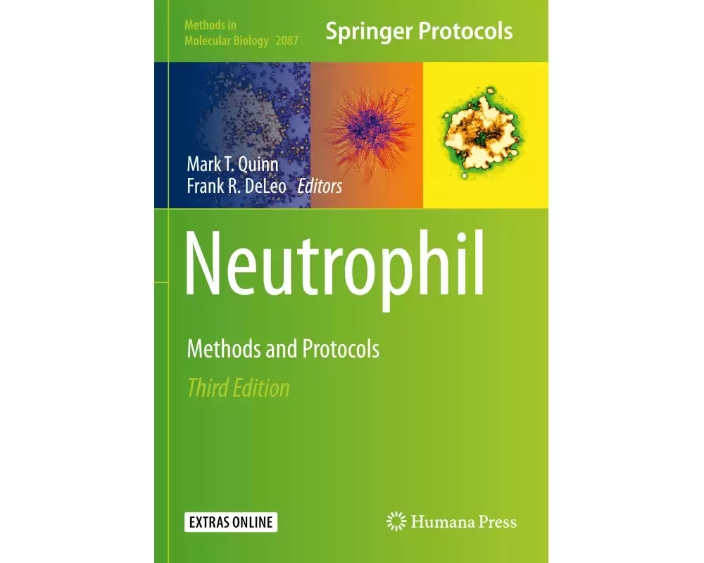Neutrophil