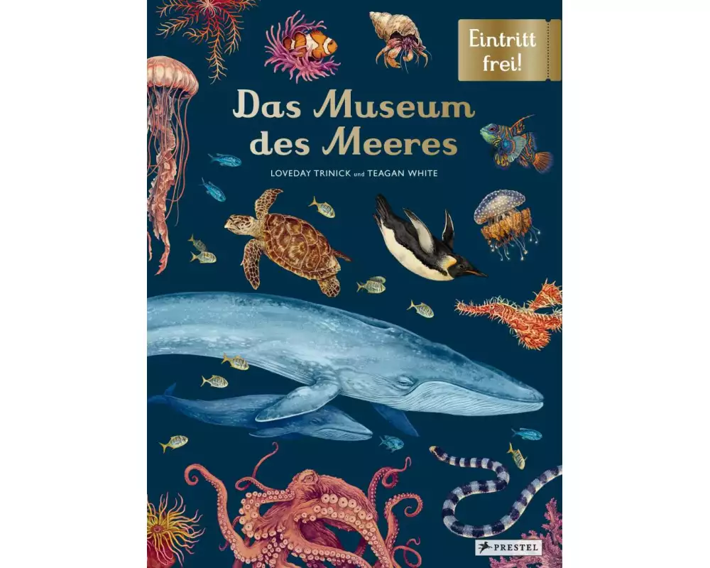 Das Museum des Meeres