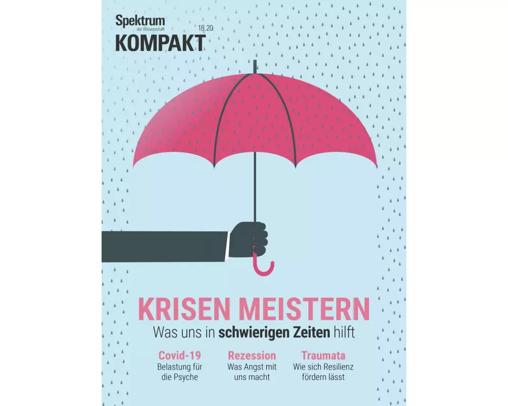 Spektrum Kompakt - Krisen meistern