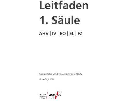 Leitfaden 1. Säule 2020 (ohne Ordner)