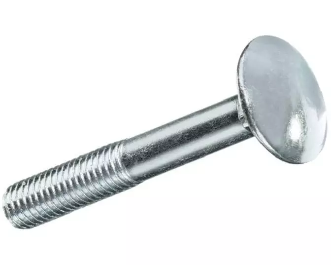 FTM Schlossschrauben M 6 x 40 mm Edelstahl, 2 Stück